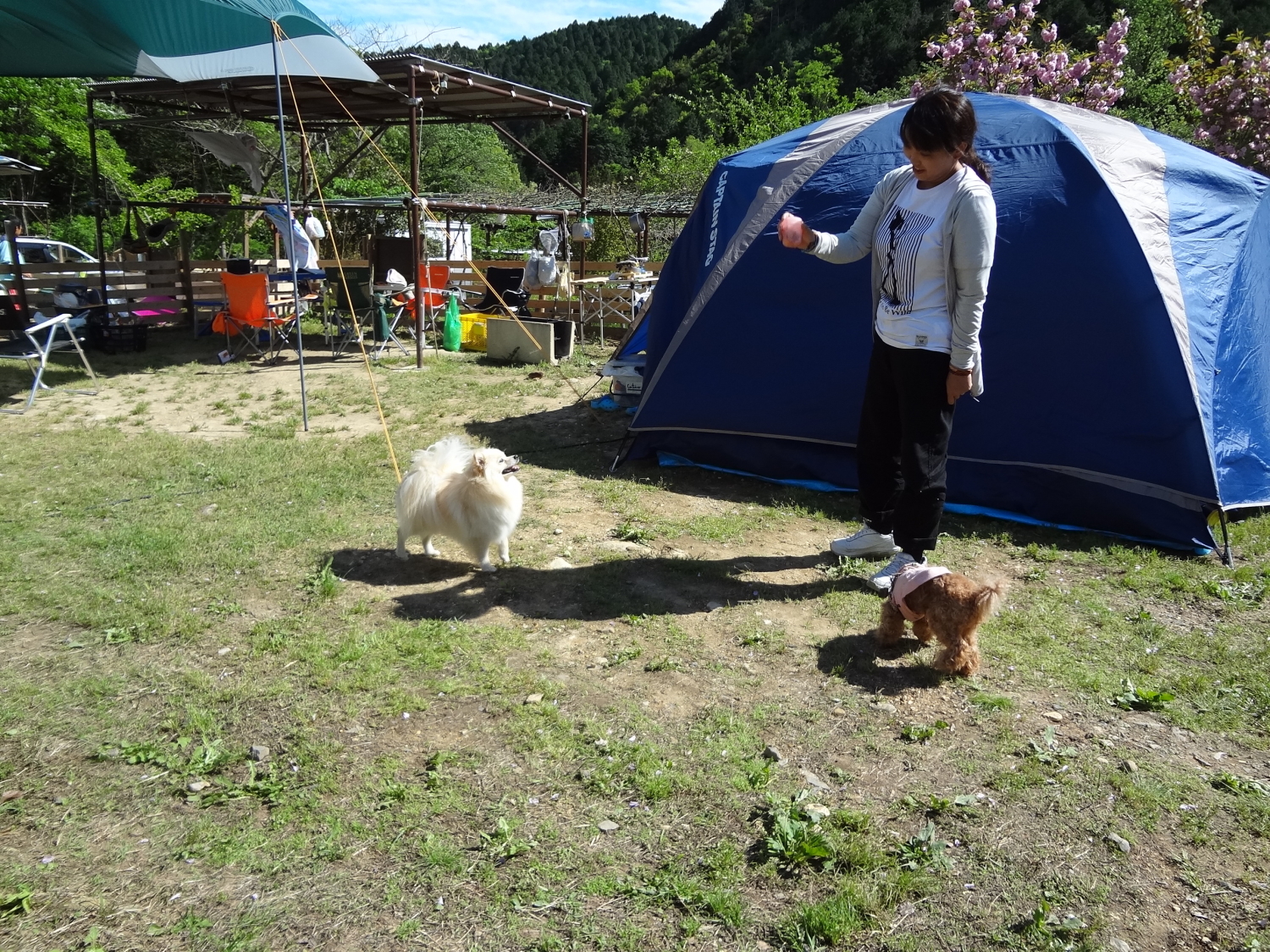 アウトドア・ベース犬山キャンプ場写真3