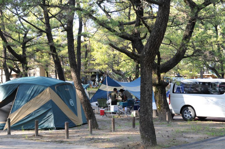 くにの松原キャンプ場写真