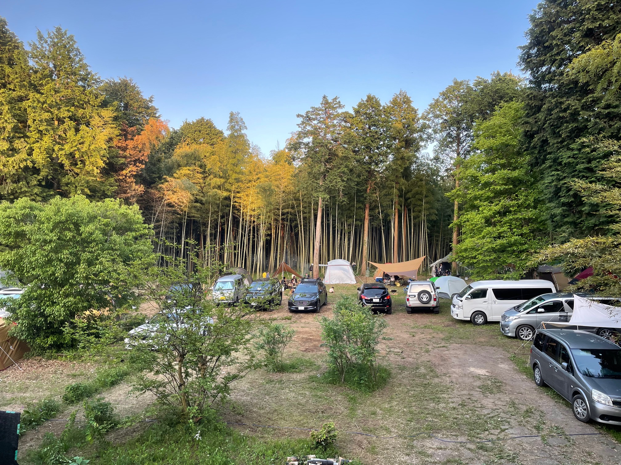 MA SAISON（マセゾン）キャンプ場（旧竹の郷パーク）写真