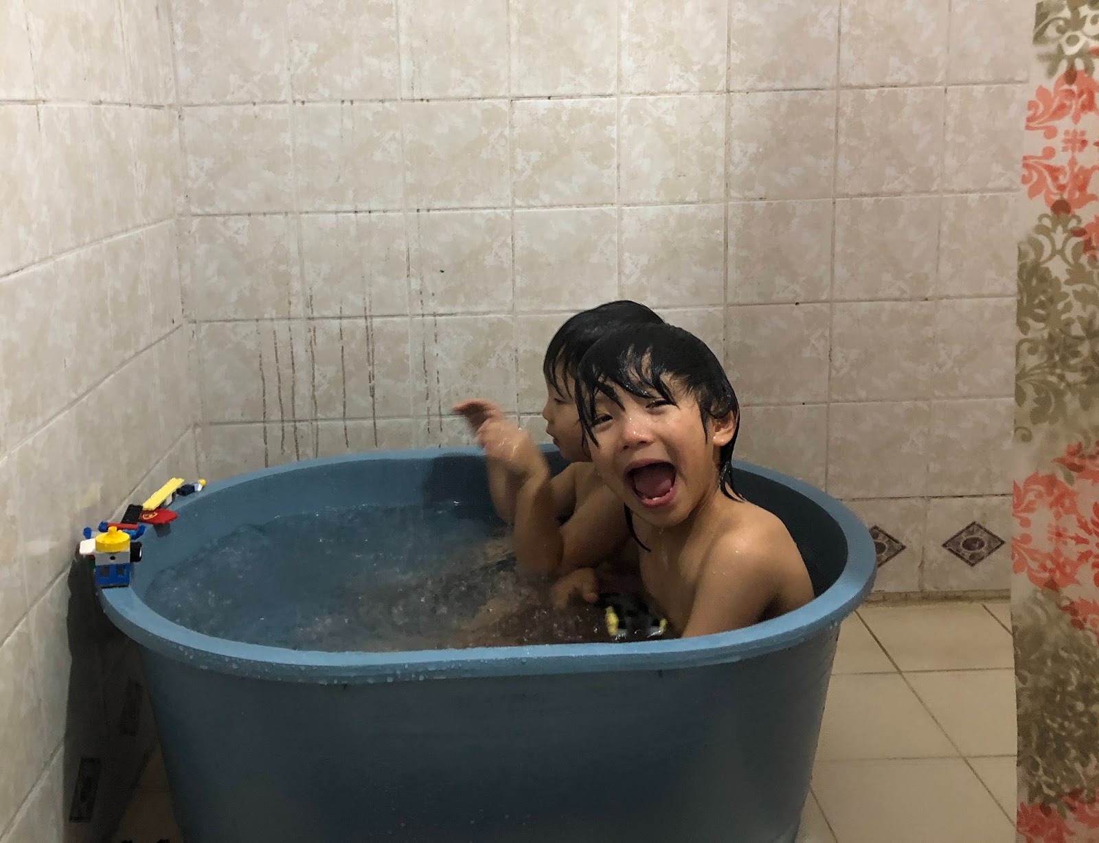 ※ 市場で買った大きなタライが心のオアシスに