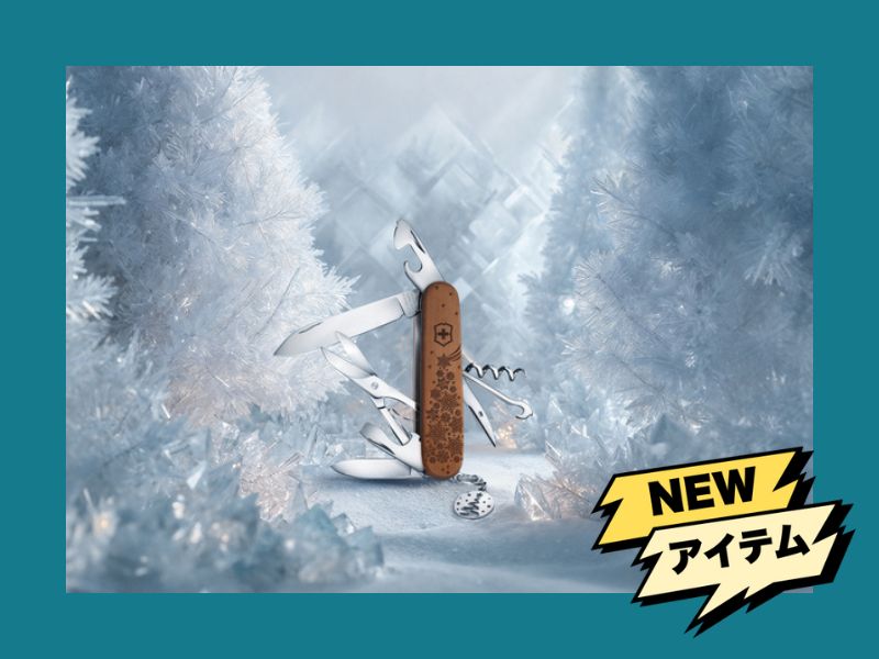 12月の最新キャンプアイテム情報