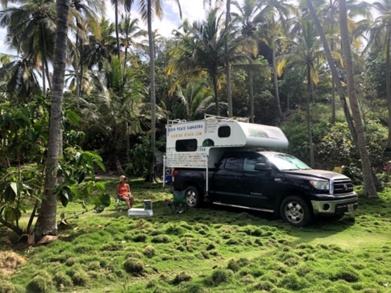 ぼくの学校は世界中　雲野さんファミリー