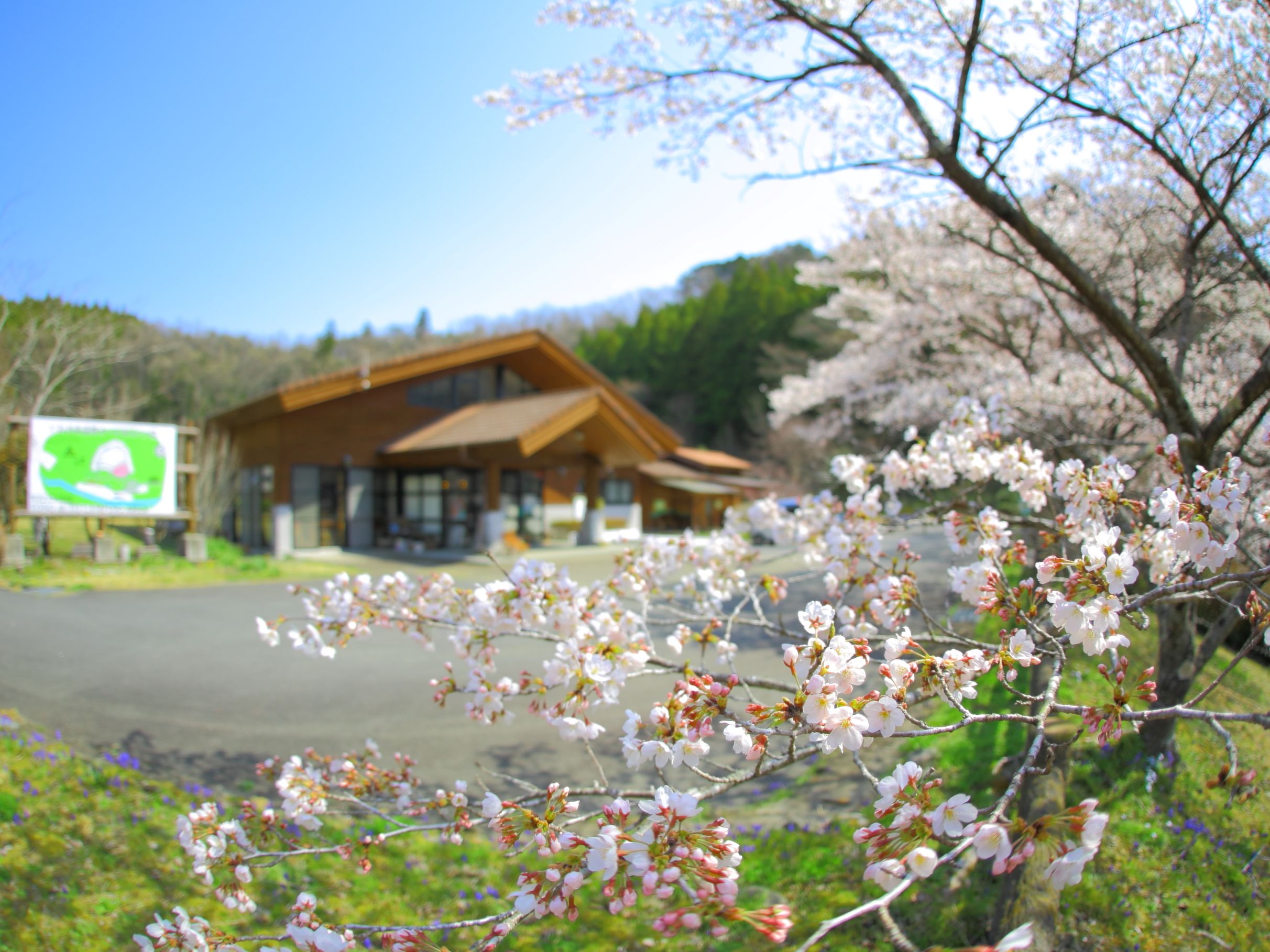 いわき市遠野オートキャンプ場写真2