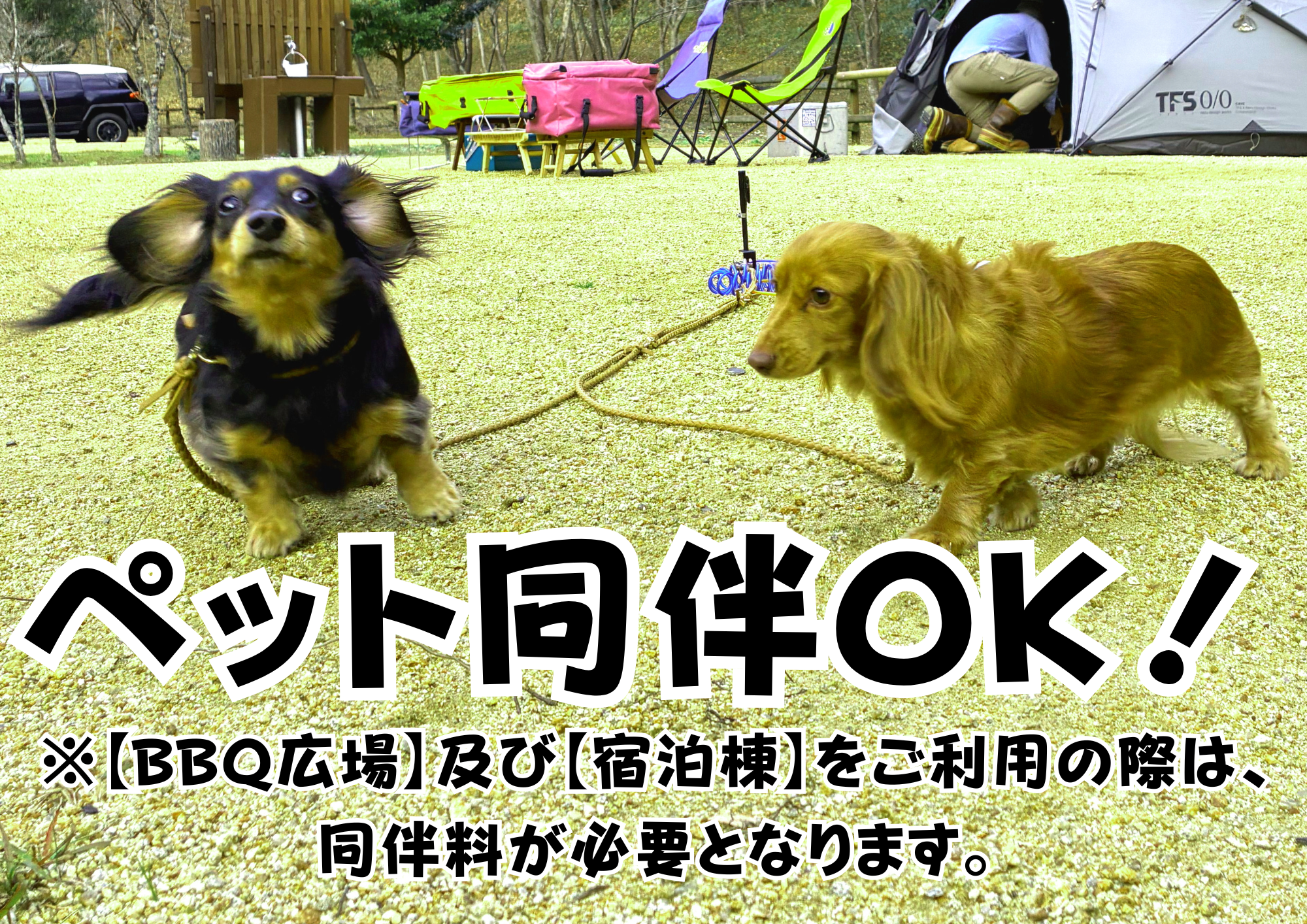 いわき市遠野オートキャンプ場写真3